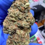 Kona Gold Digital Art