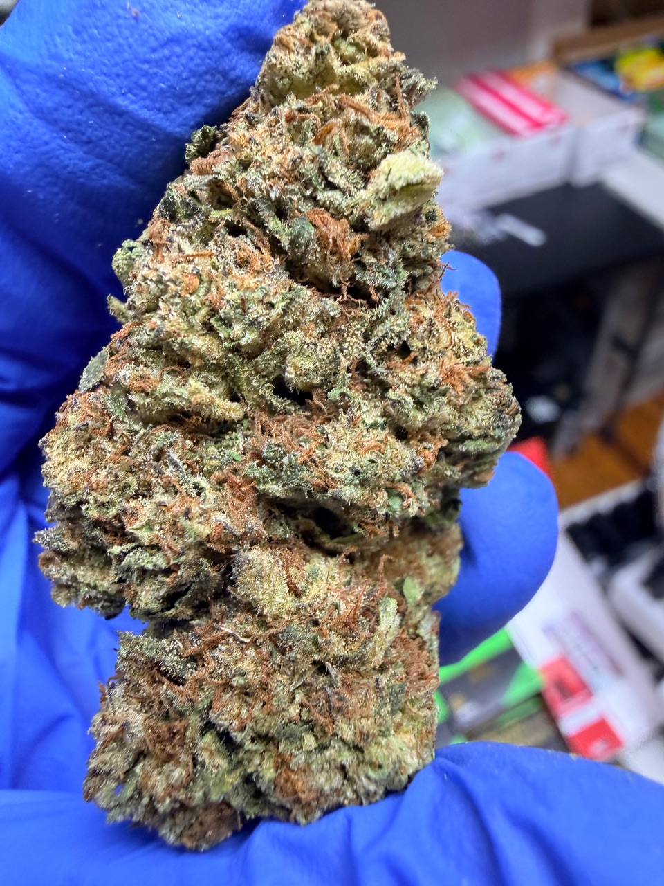 Kona Gold Digital Art