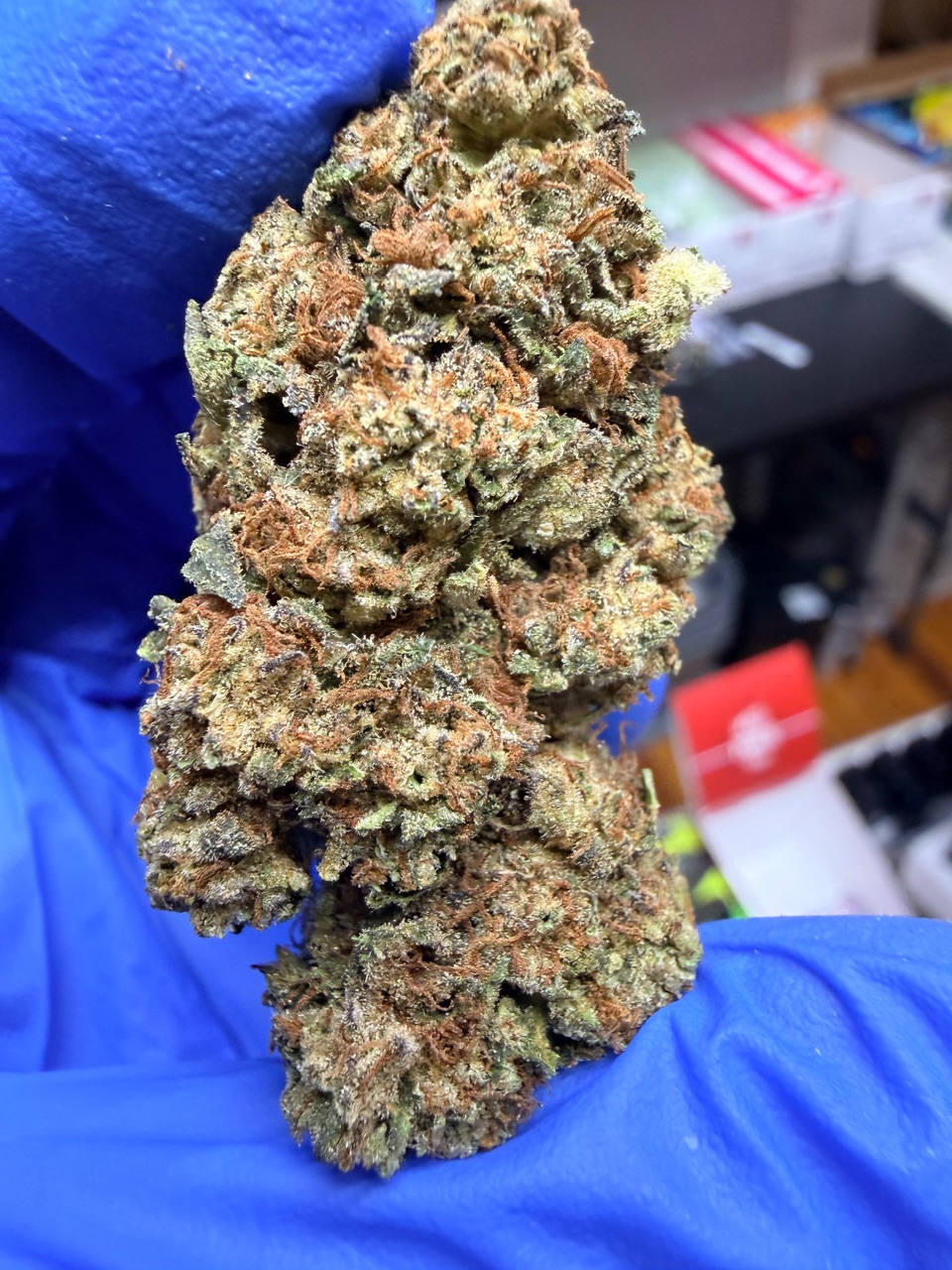 Kona Gold Digital Art - Image 7