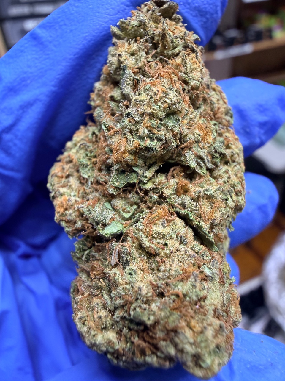 Kona Gold Digital Art - Image 8