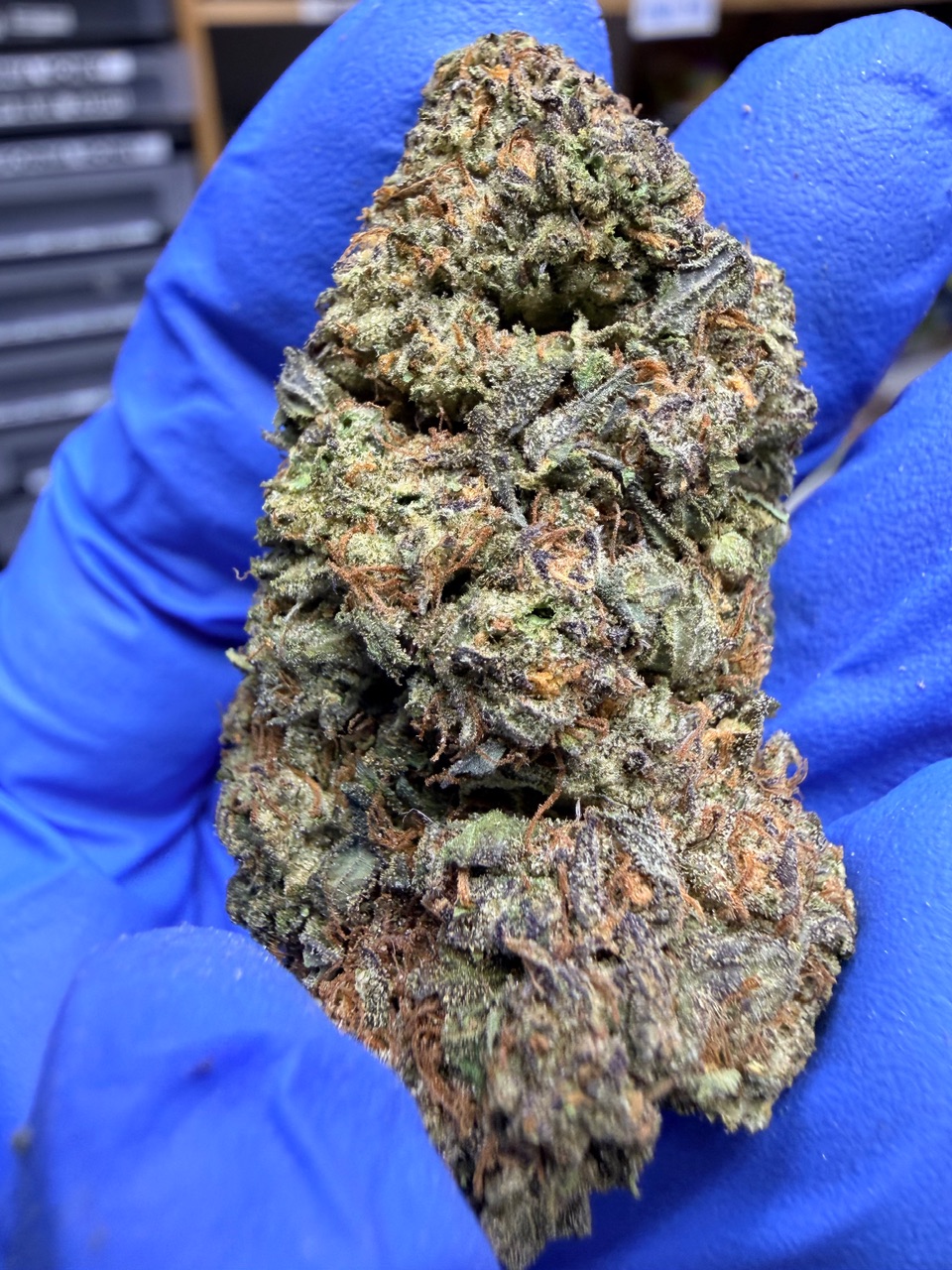 Girl Scout Cookies Digital Art - Image 2