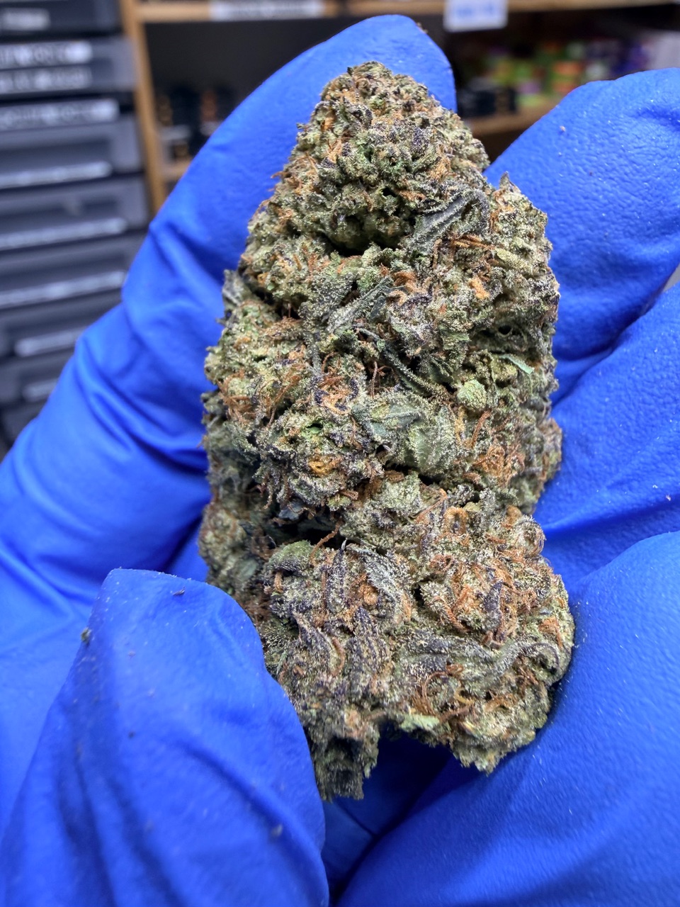 Girl Scout Cookies Digital Art - Image 3