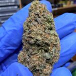 Girl Scout Cookies Digital Art