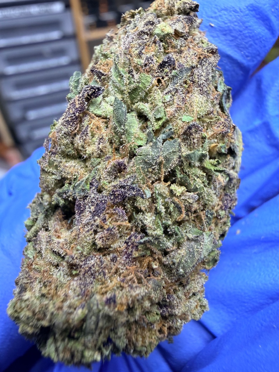 Purple Urkle Digital Art - Image 4