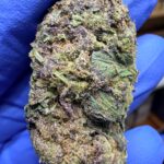 Purple Urkle Digital Art