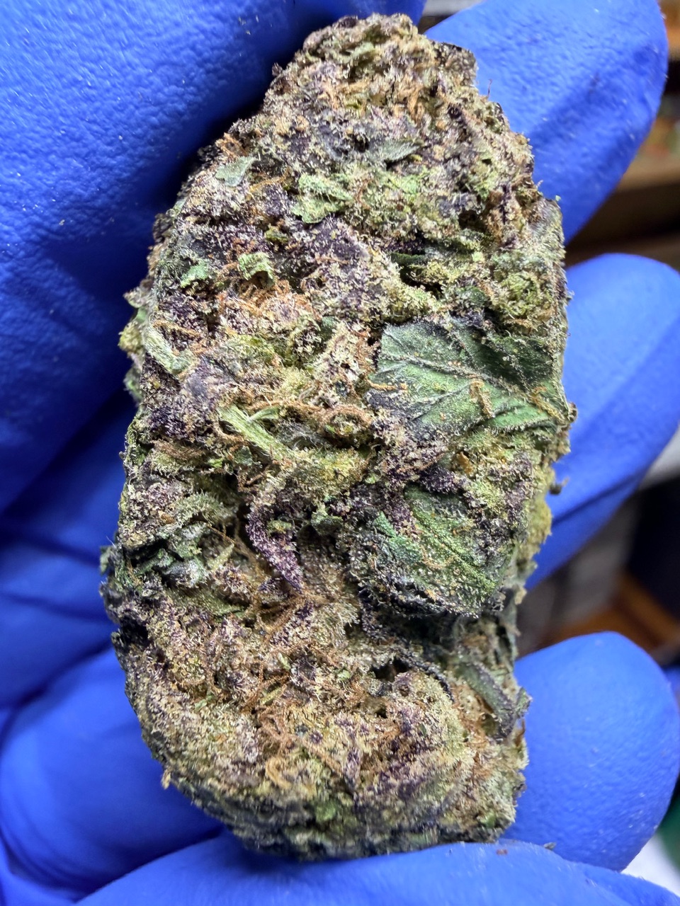 Purple Urkle Digital Art