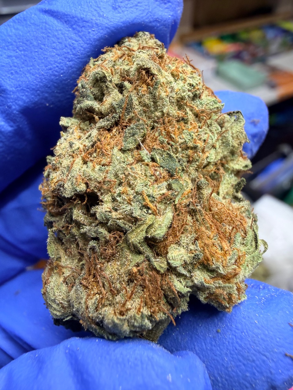 Mystery Haze Digital Art - Image 7