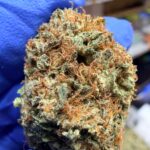 Mystery Haze Digital Art