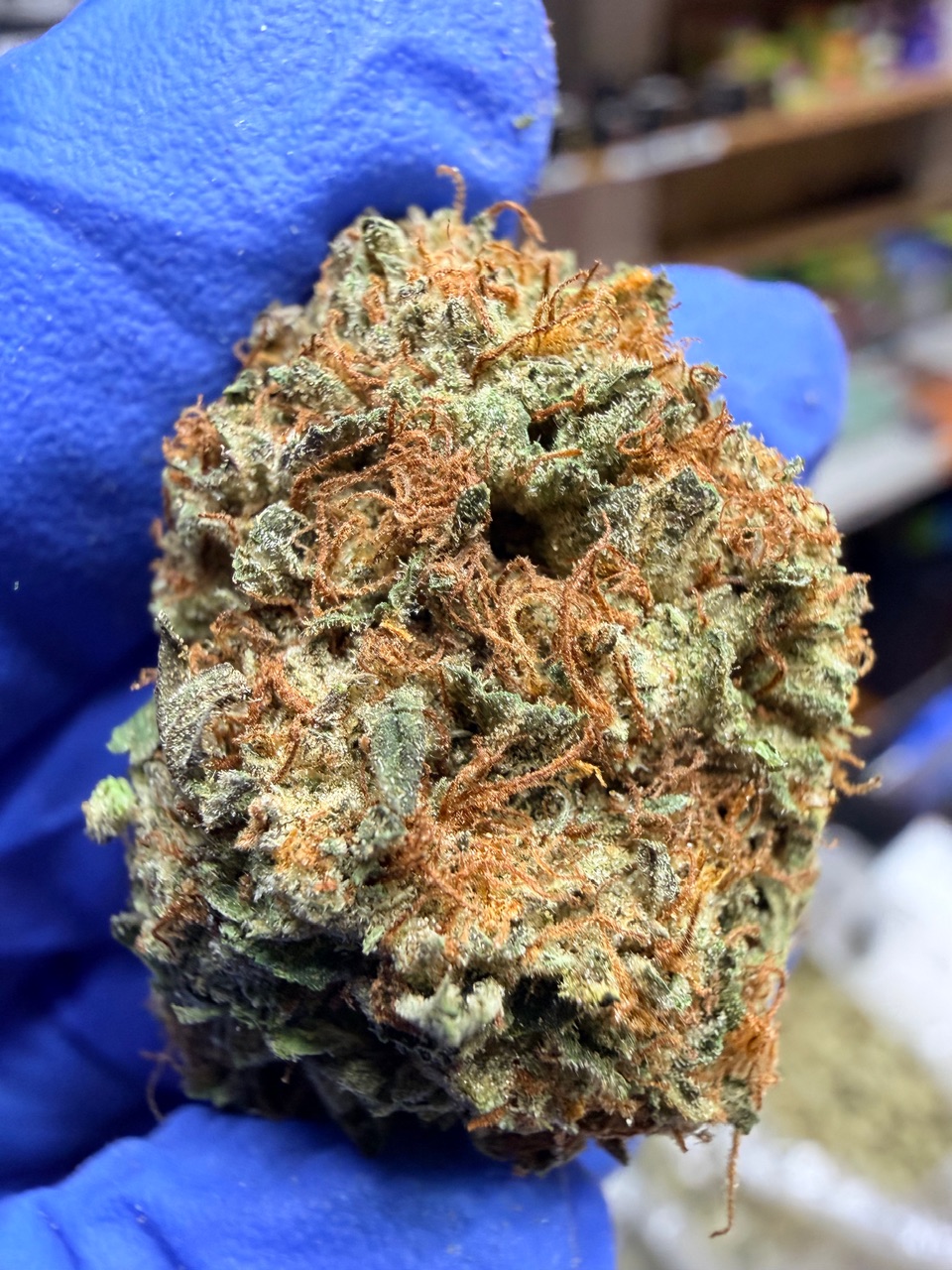 Mystery Haze Digital Art