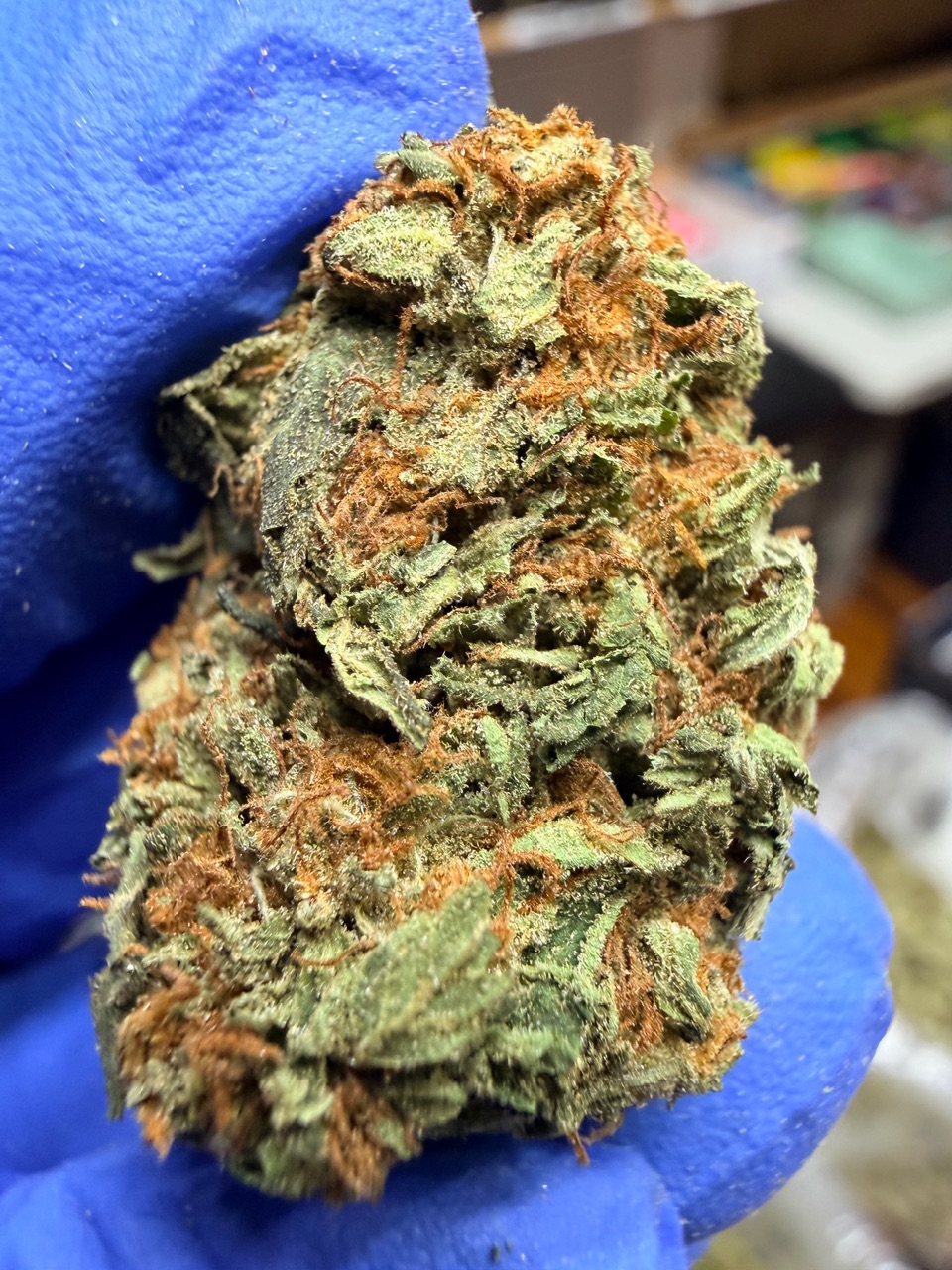 Mystery Haze Digital Art - Image 5