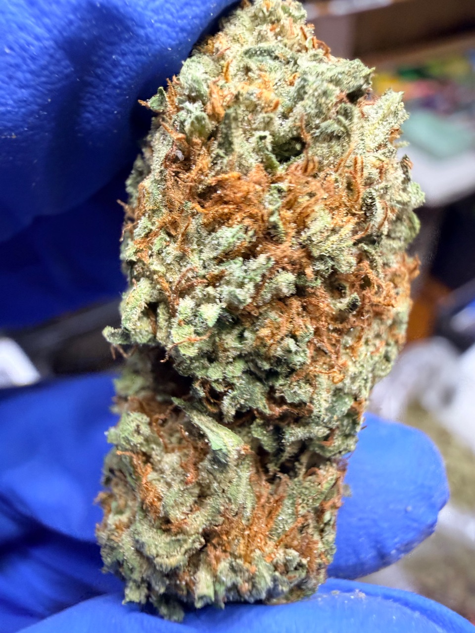 Mystery Haze Digital Art - Image 3