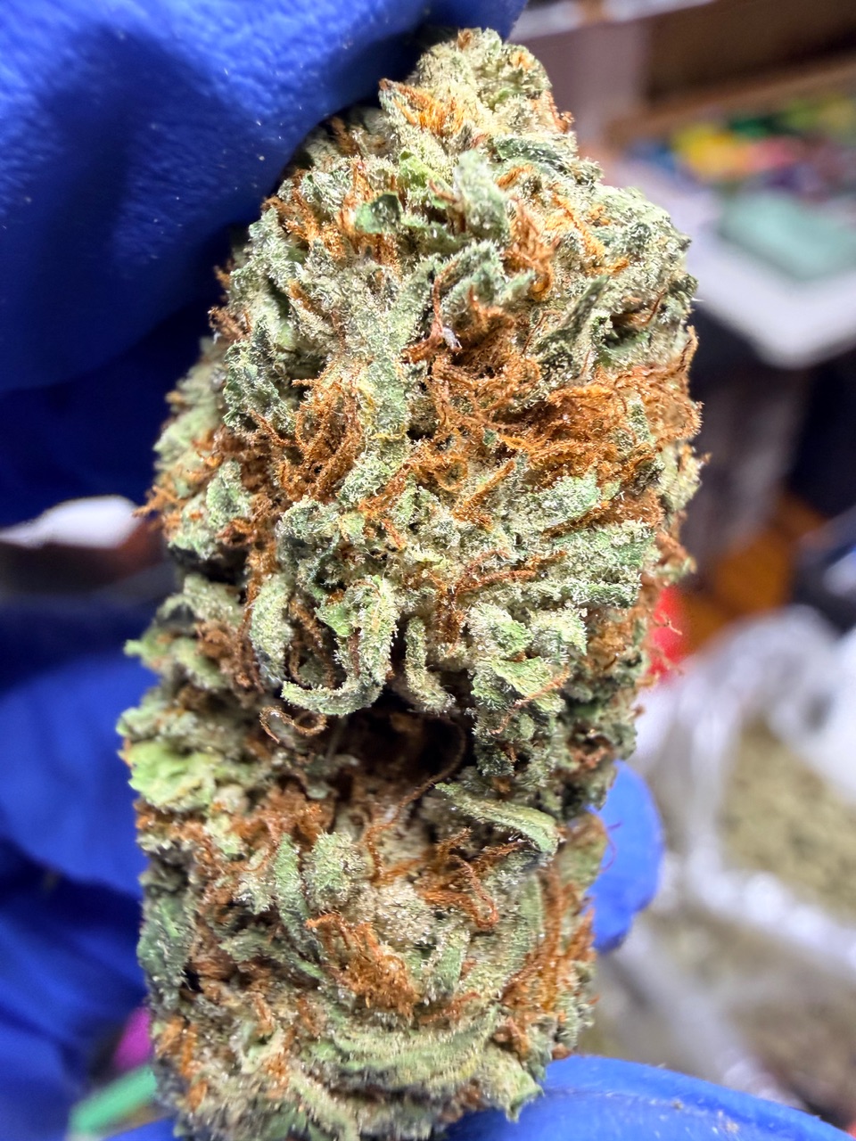 Mystery Haze Digital Art - Image 2