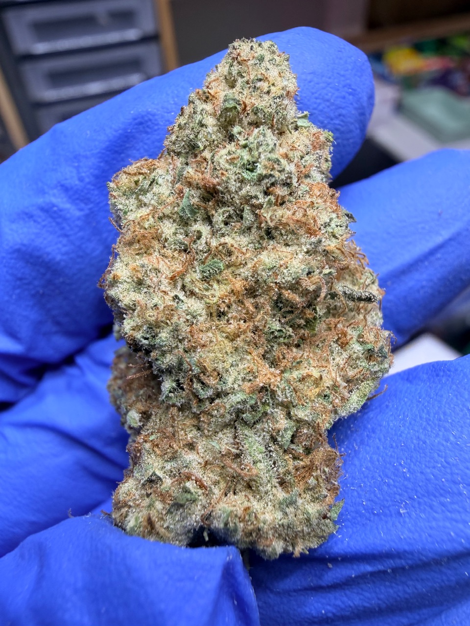 Citrus Cyclone Digital Art - Image 2