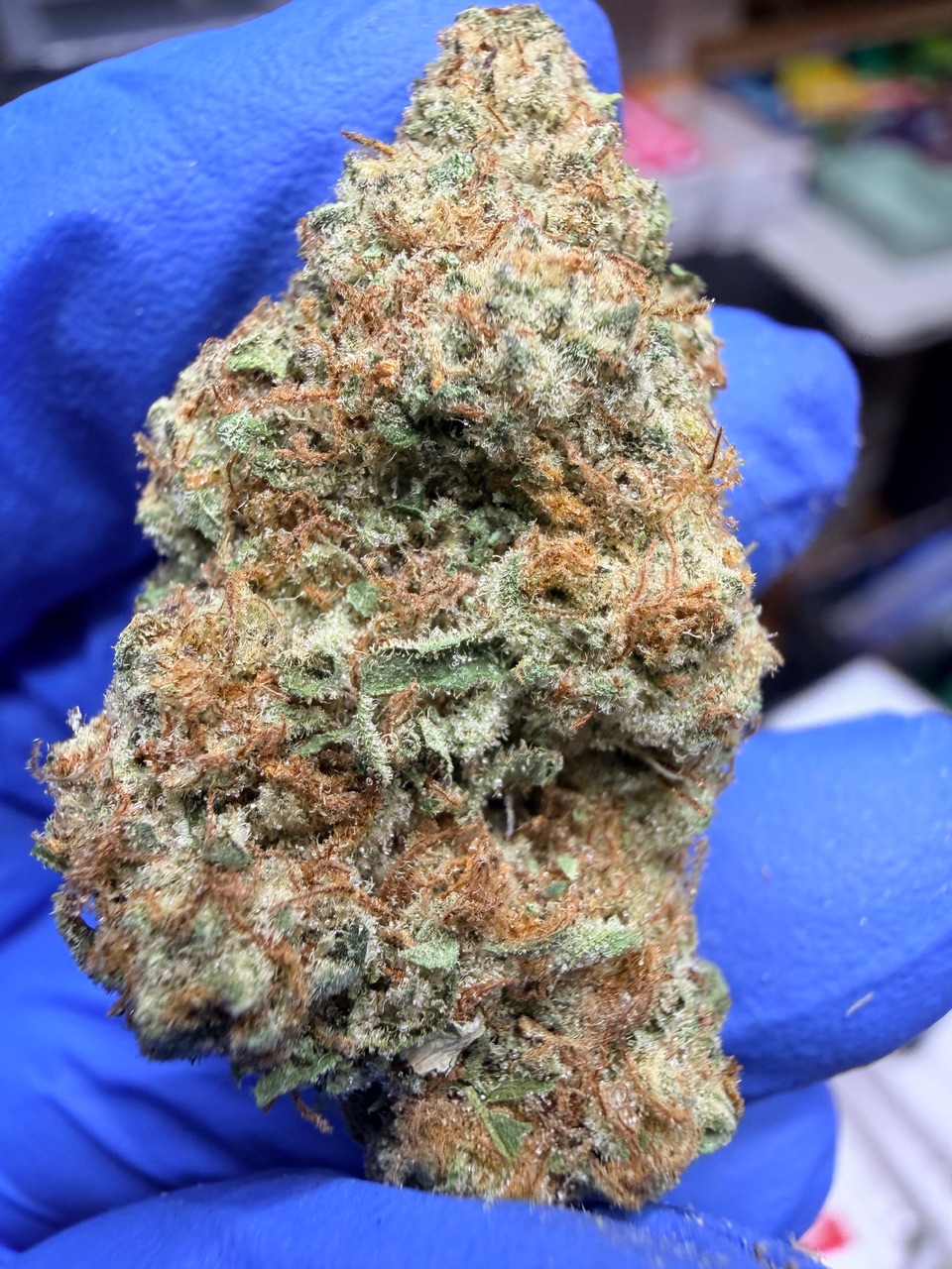 Citrus Cyclone Digital Art - Image 3