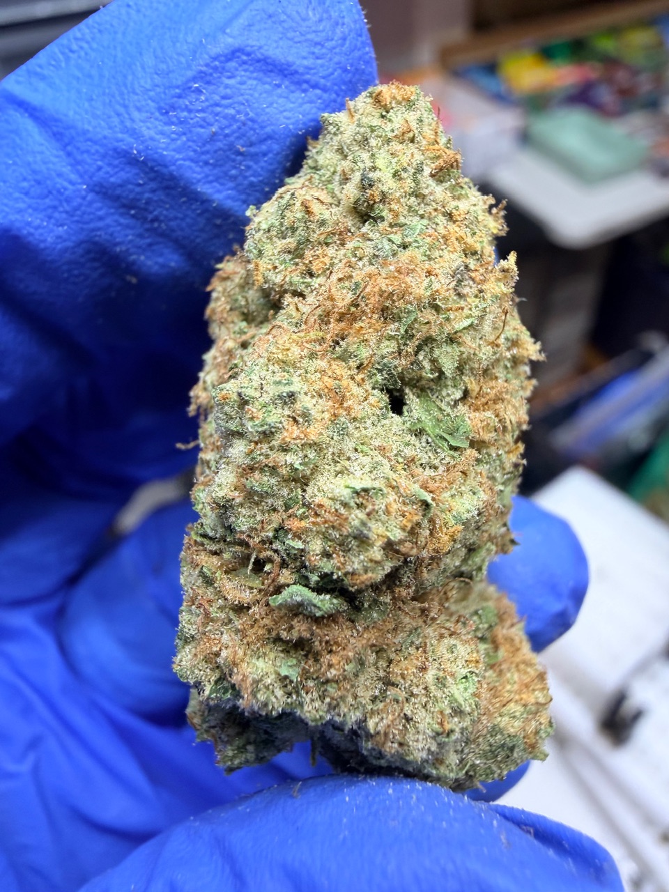 Citrus Cyclone Digital Art - Image 4