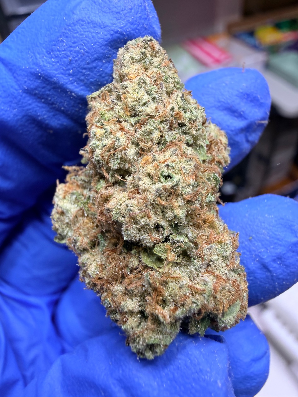 Citrus Cyclone Digital Art - Image 9