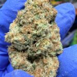 Citrus Cyclone Digital Art