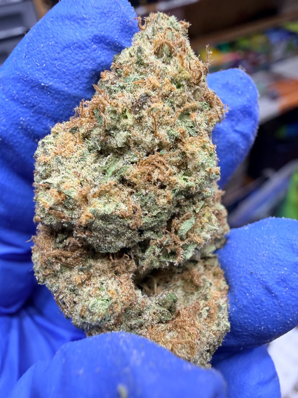 Citrus Cyclone Digital Art - Image 7