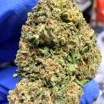 Gas Face Digital Art