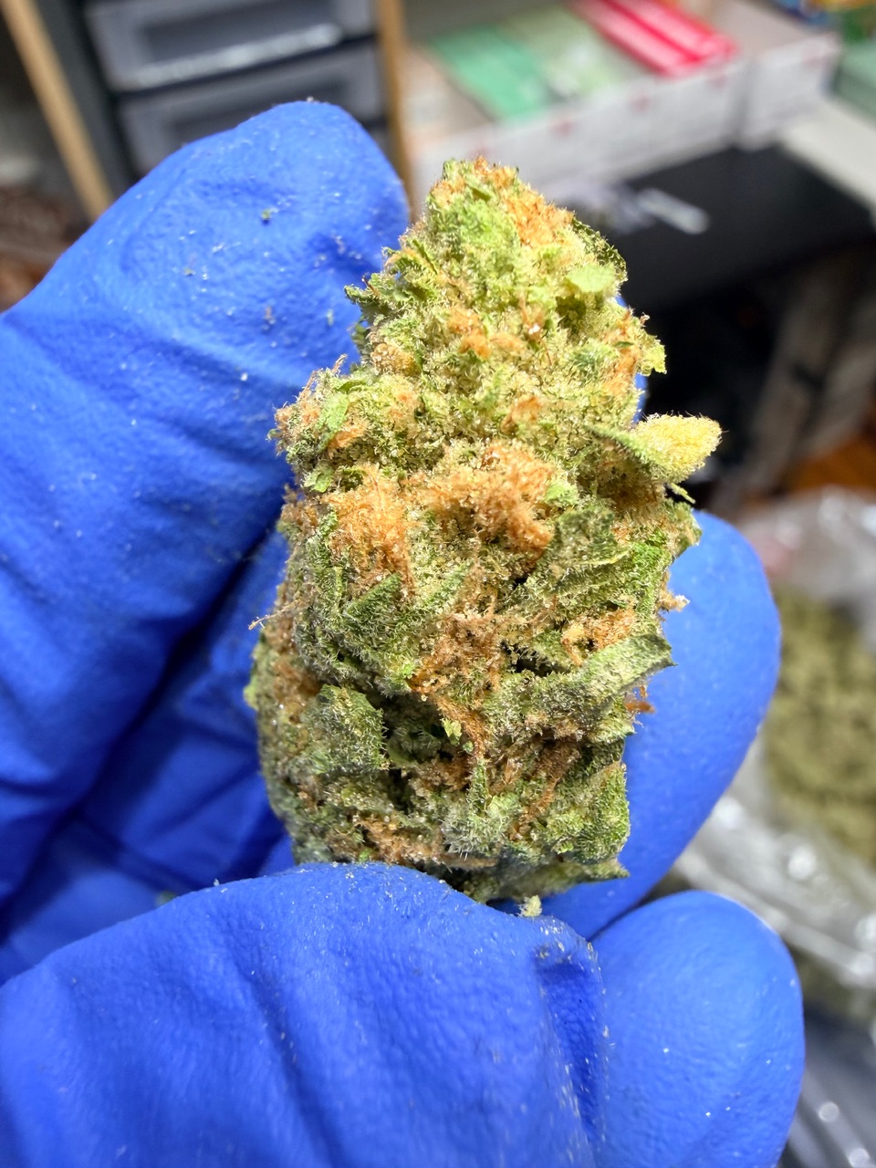 Super Mango Haze Digital Art - Image 5