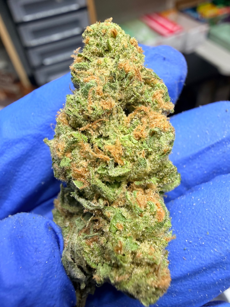 Super Mango Haze Digital Art - Image 4