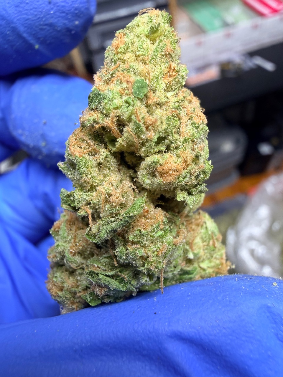 Super Mango Haze Digital Art - Image 10