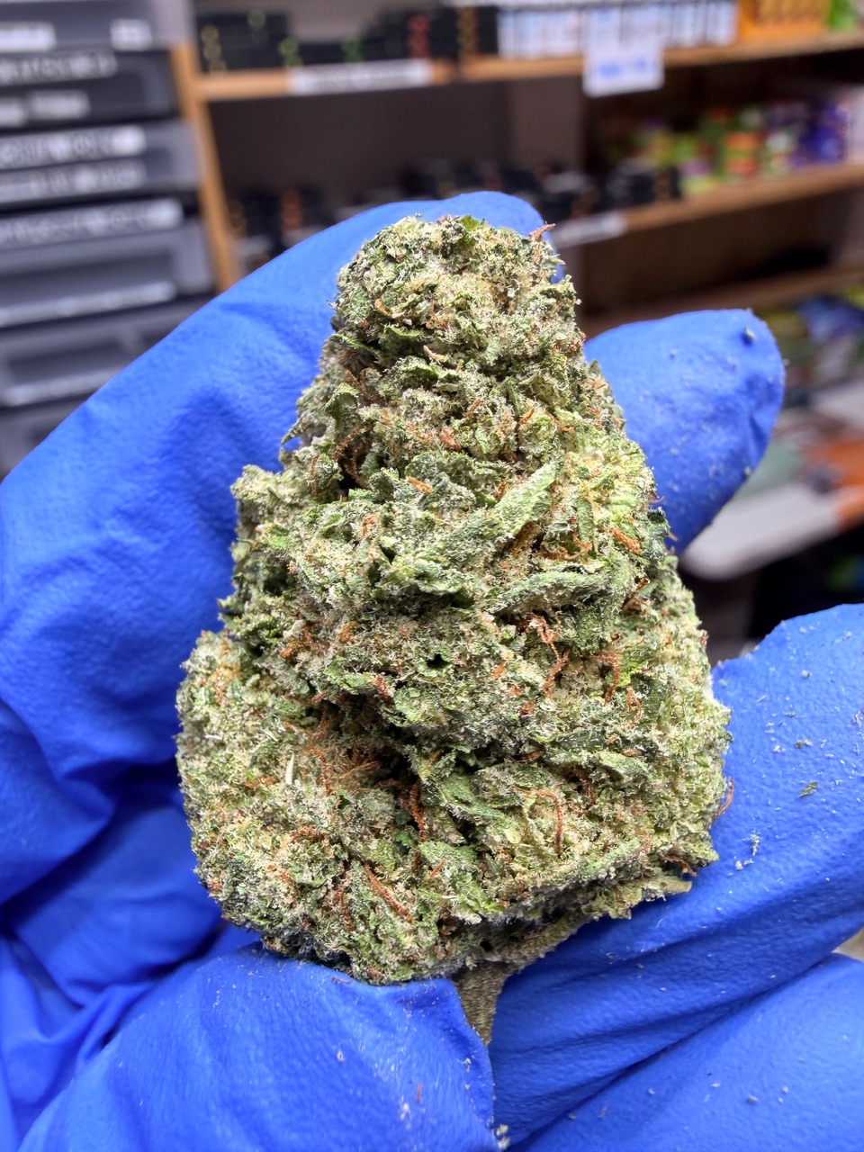 Lemon Bars Digital Art - Image 3