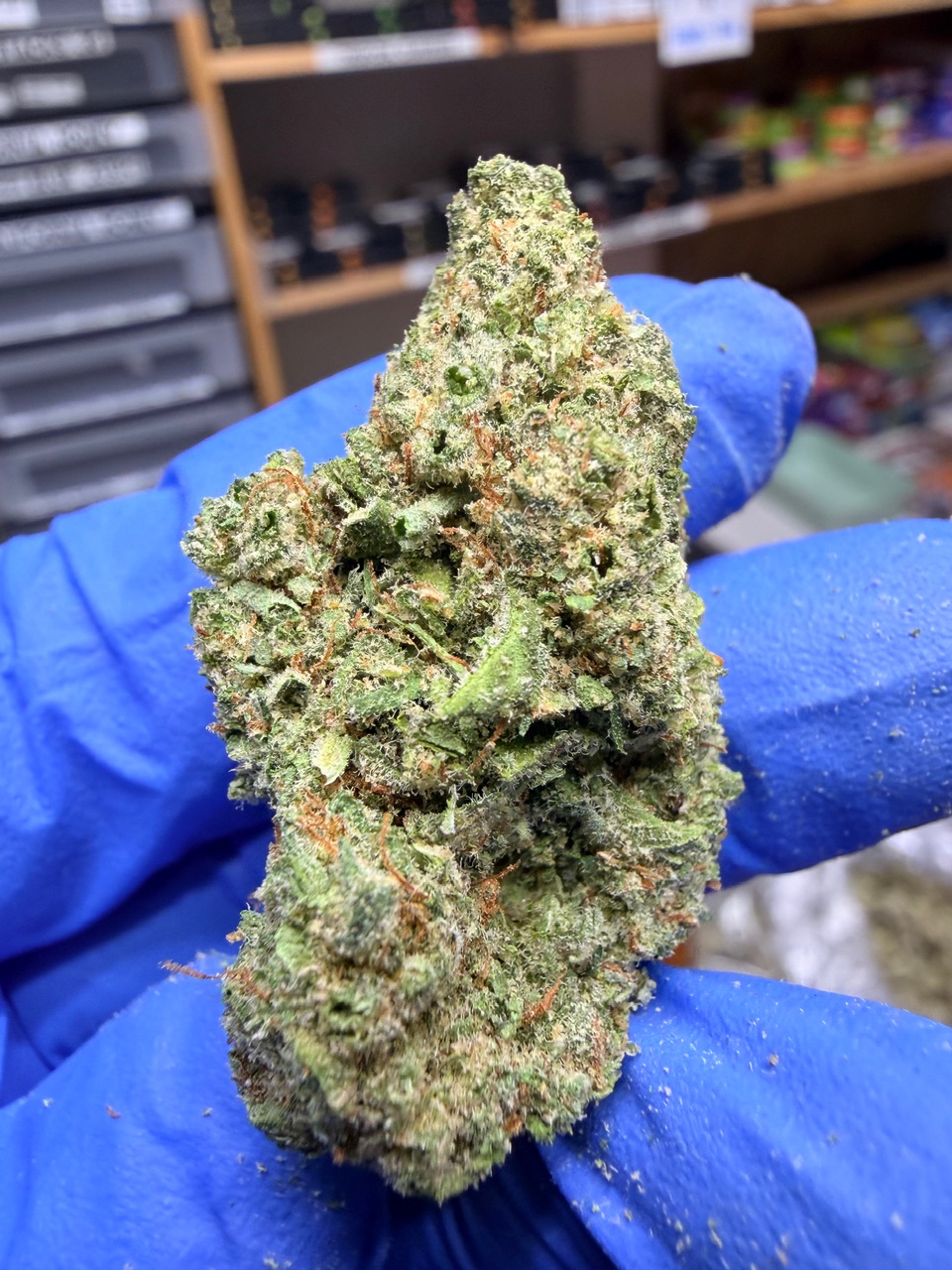 Lemon Bars Digital Art - Image 8