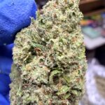 Lemon Bars Digital Art