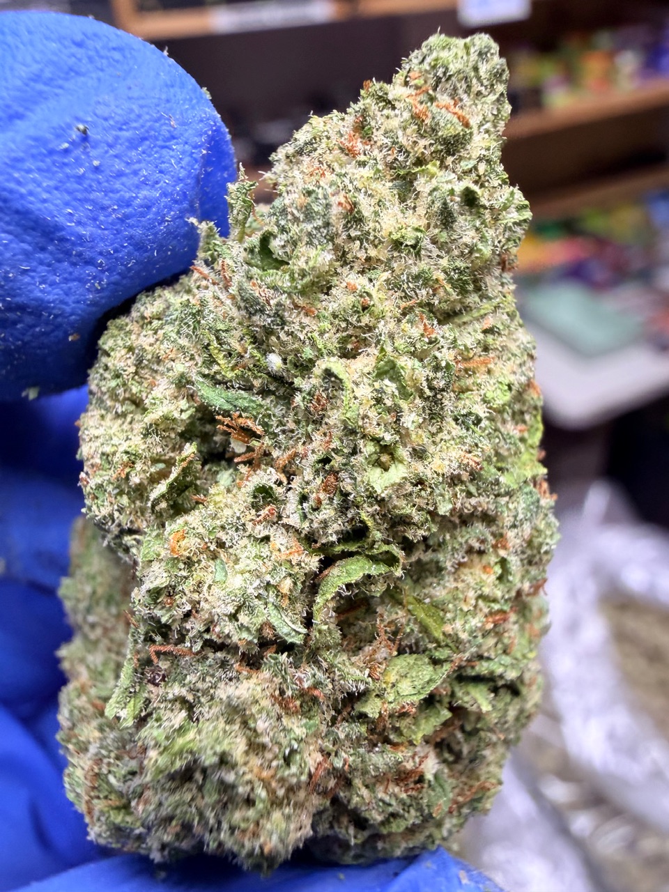 Lemon Bars Digital Art