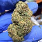 Blueberry Cruffins Digital Art