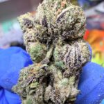 Blue Lobster Digital Art