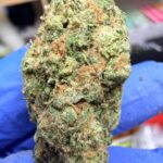 UK Cheese Digital Art