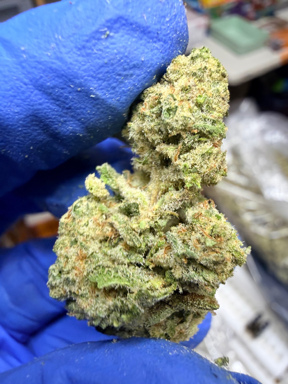 Mac 69 Digital Art - Image 7