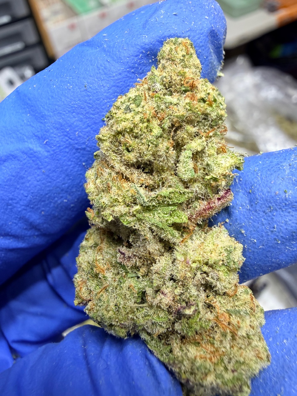 Mac 69 Digital Art - Image 6