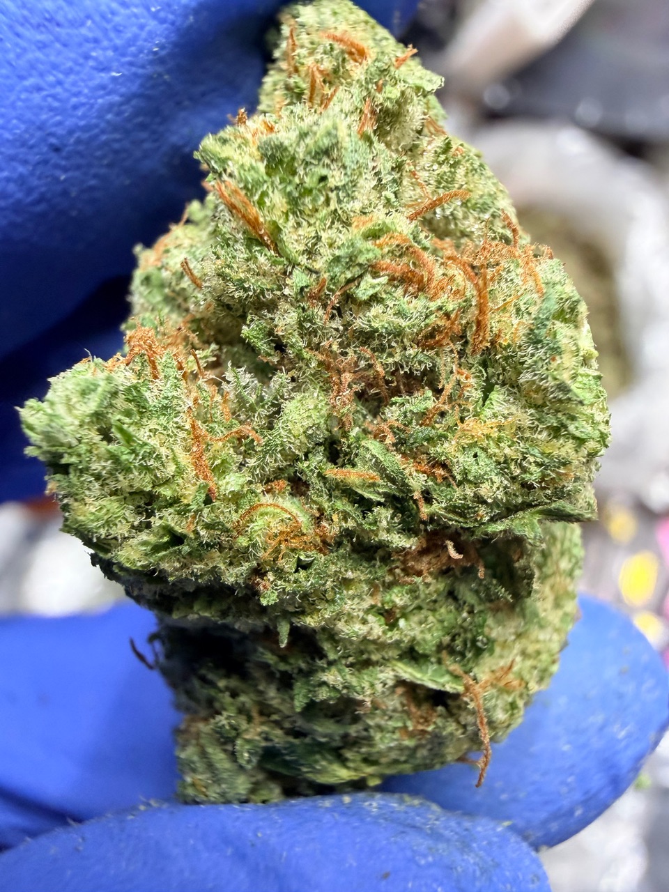 Garlic Sundae Digital Art - Image 2