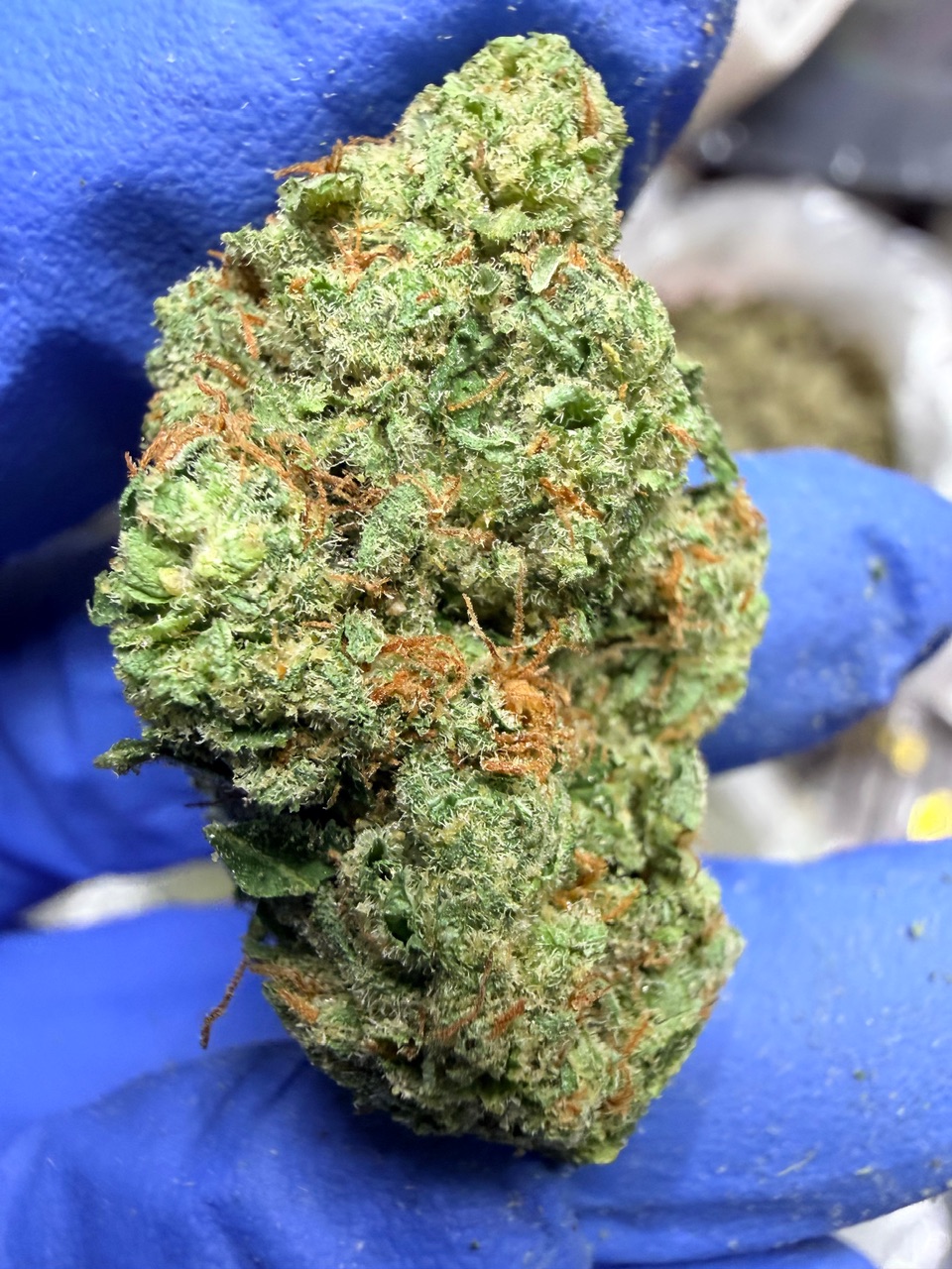 Garlic Sundae Digital Art - Image 4