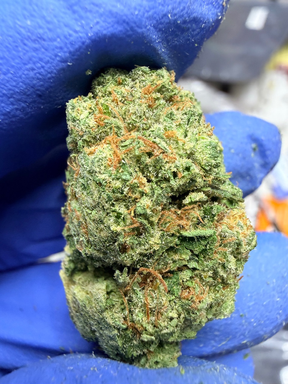 Garlic Sundae Digital Art - Image 3