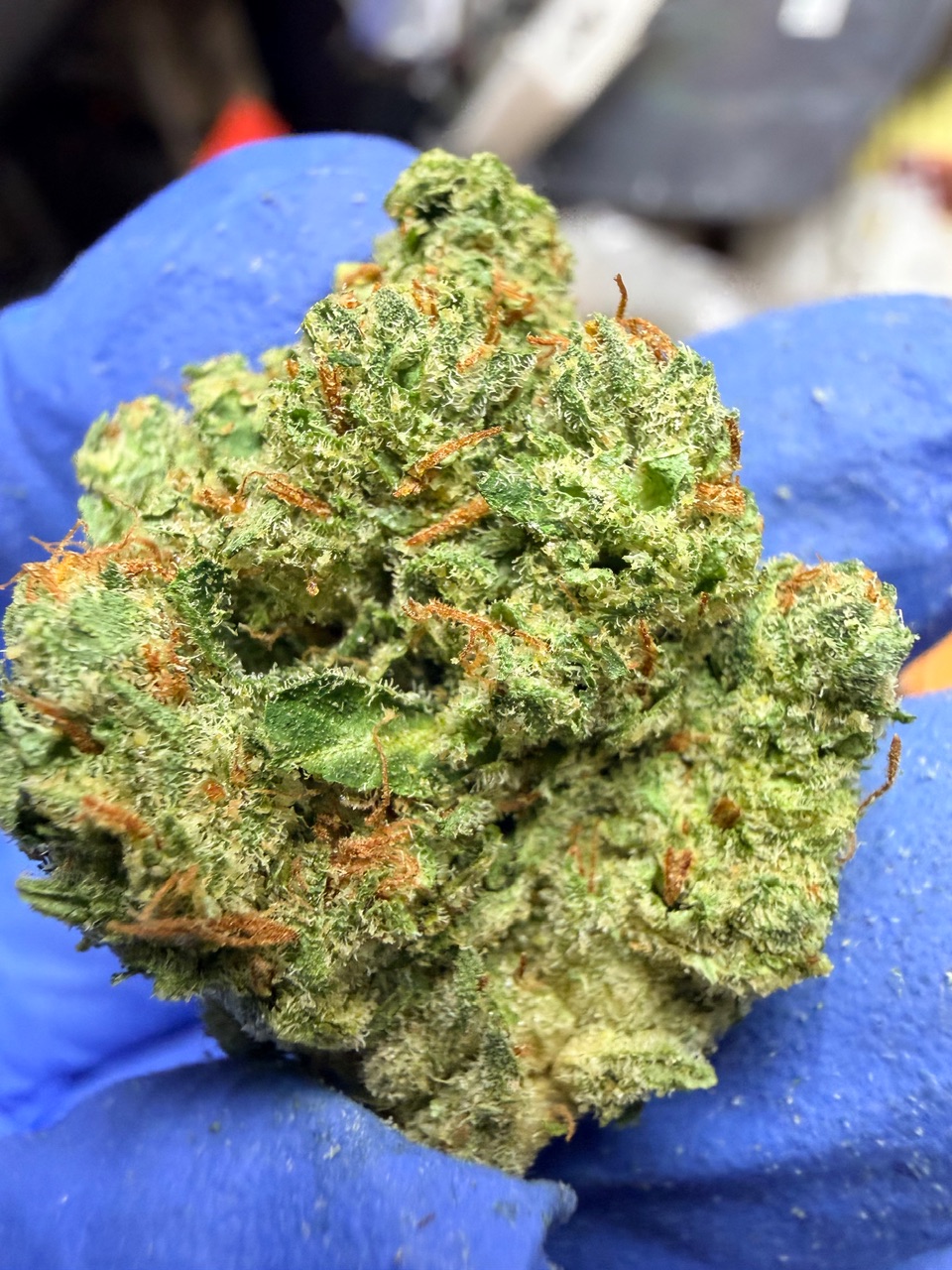 Garlic Sundae Digital Art