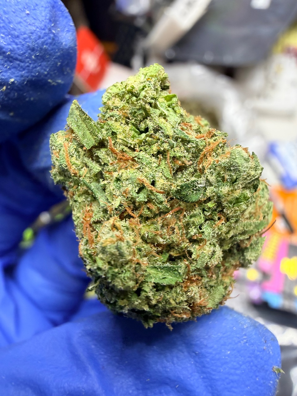 Garlic Sundae Digital Art - Image 6