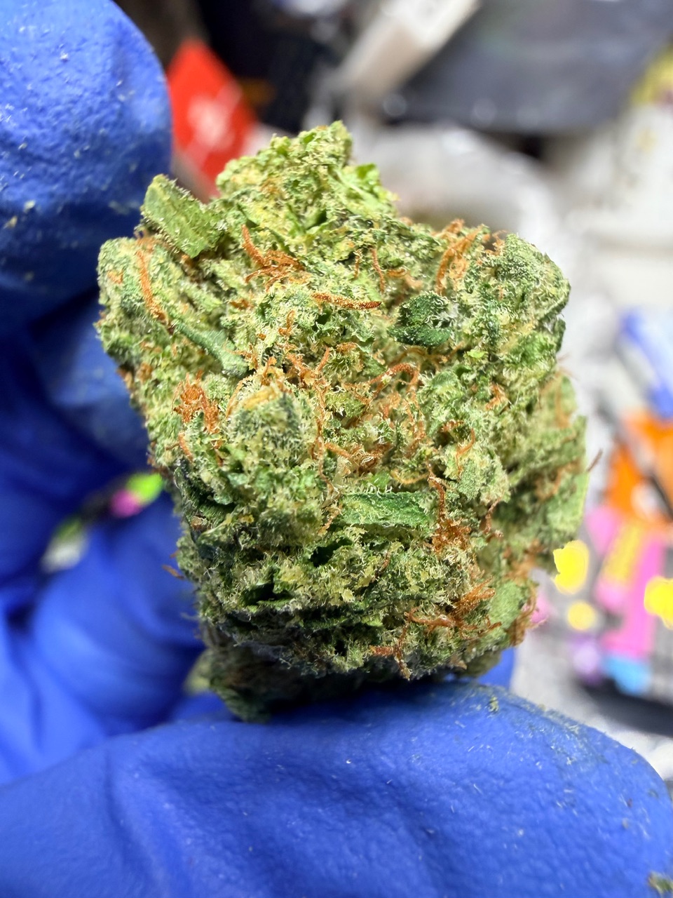 Garlic Sundae Digital Art - Image 9