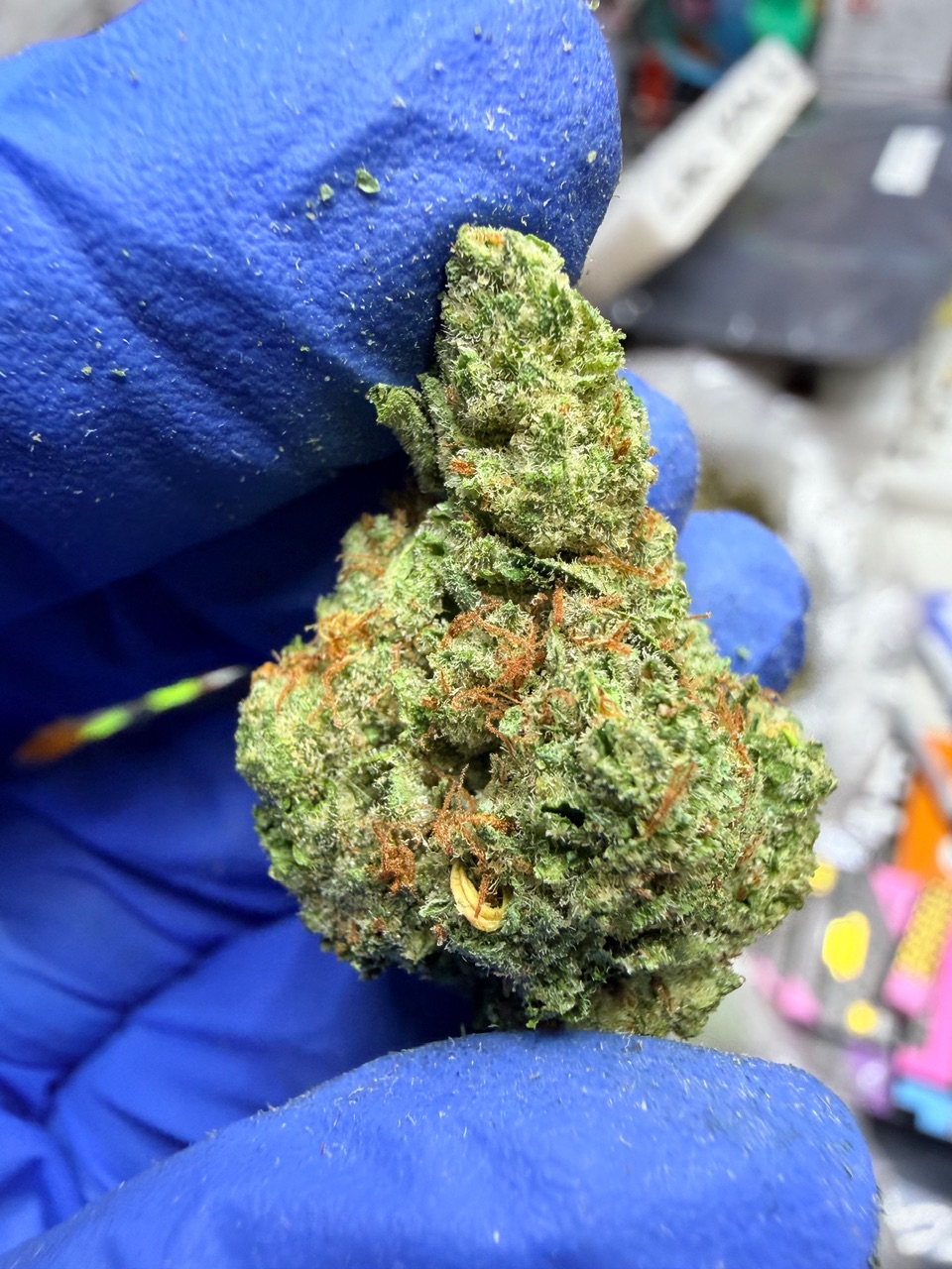 Garlic Sundae Digital Art - Image 8