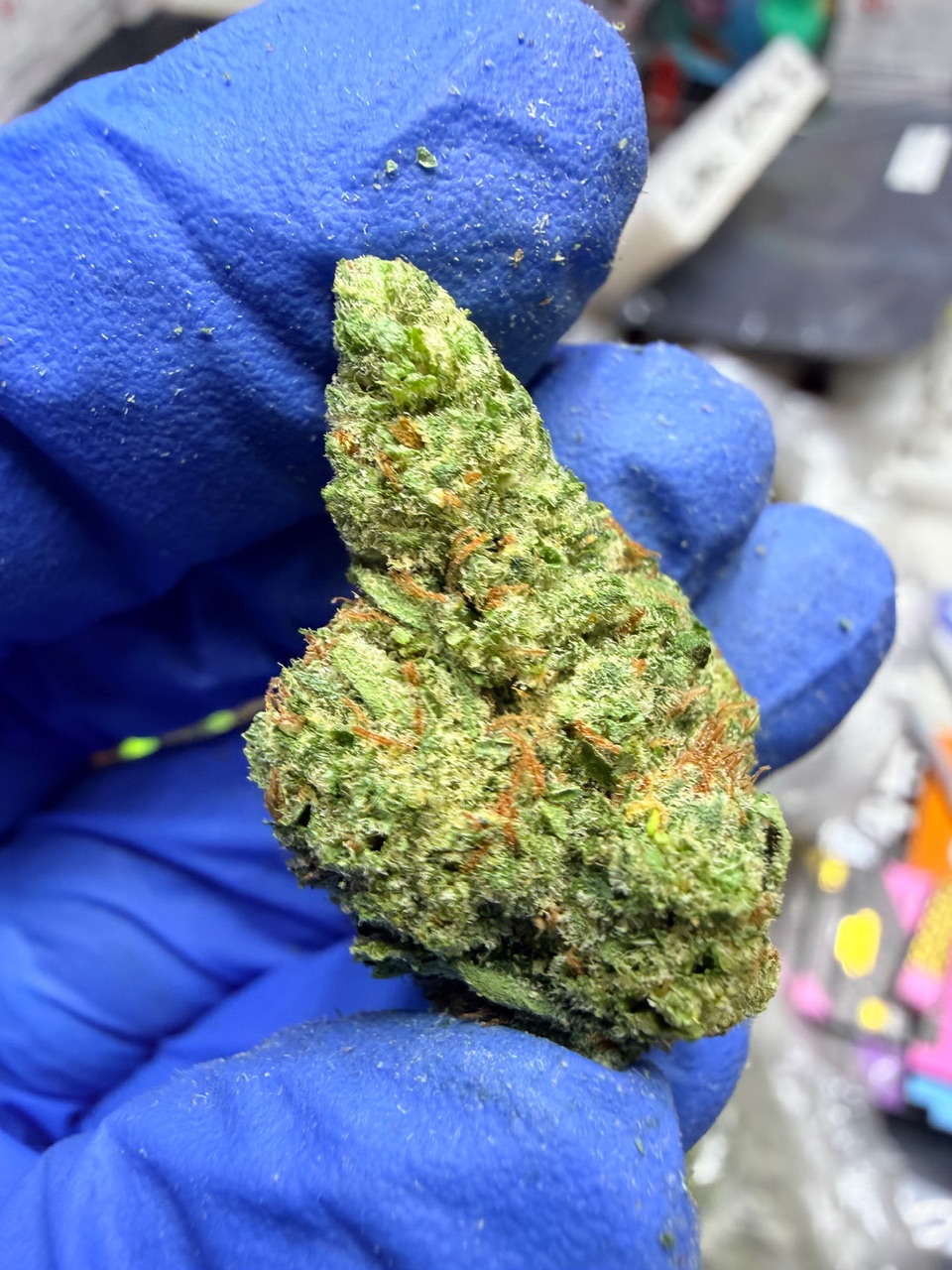 Garlic Sundae Digital Art - Image 7