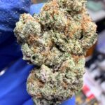 Super Silver Haze Digital Art