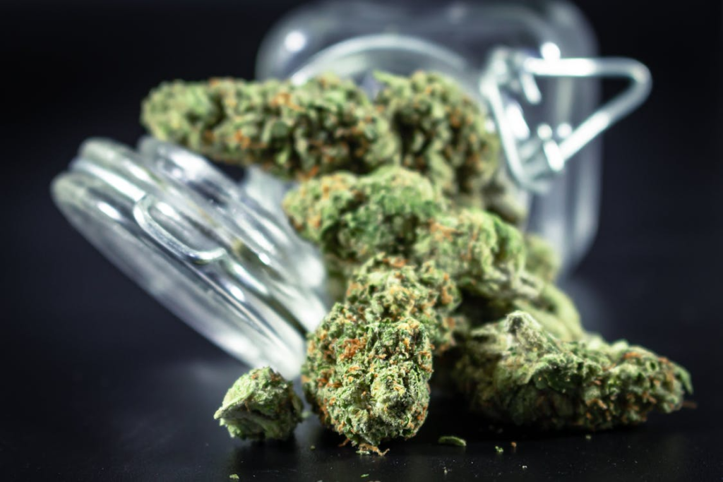 An image of a cannabis flower in a jar