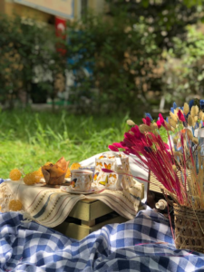Aesthetic picnic setup arranged in a sunny outdoor garden