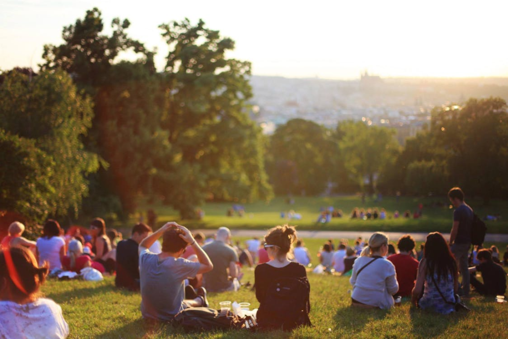 a group of people enjoying a music concert in a park