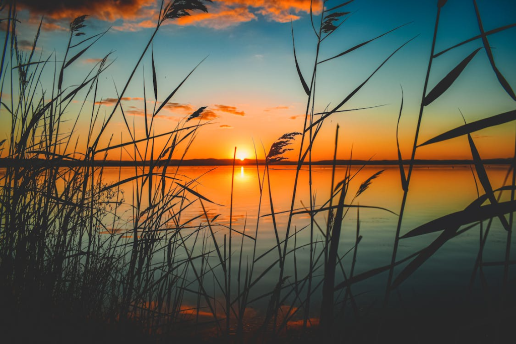 view of a lake at the golden hour