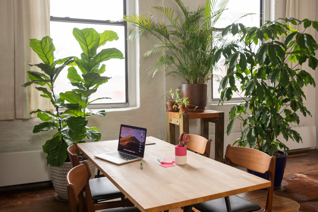 a greenery-filled home office space