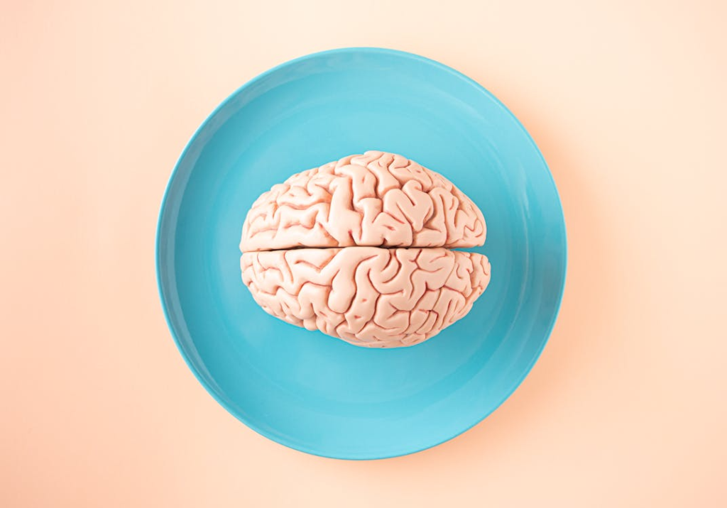  A brain model is placed in plate